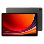 Samsung Galaxy Tab S9 X710 12/256Gb WiFi Graphite